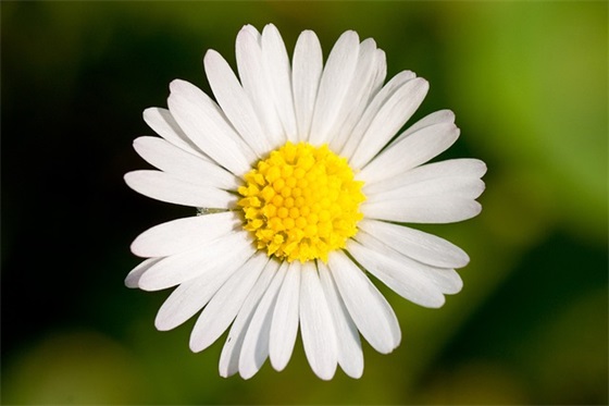 描写冬句子一年级