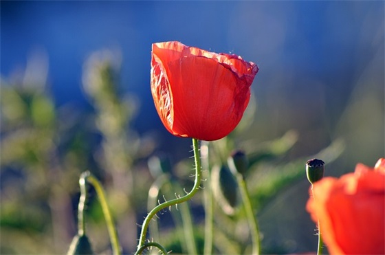 笑着面对生活的句子 笑对人生的经典句子(精选67句)