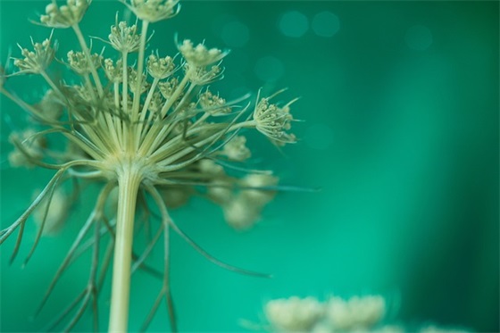 开学第一天的句子说说大全(精选60句)