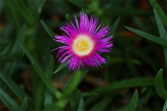 思念亲人的句子简短 表示思念亲人的诗句(精选80句)