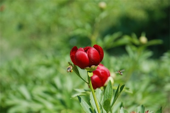教师节的暖心祝福语
