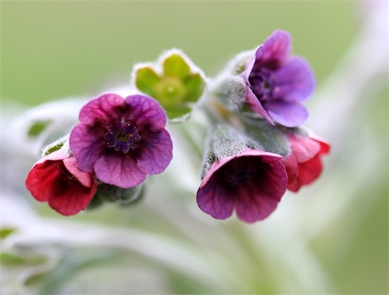 最拽的网名大全(99个) 最拽的网名大全(99个)