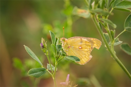 独一无二的公会名字(精选80个)