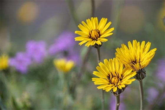 成熟又不失幽默的网名(精选78个)