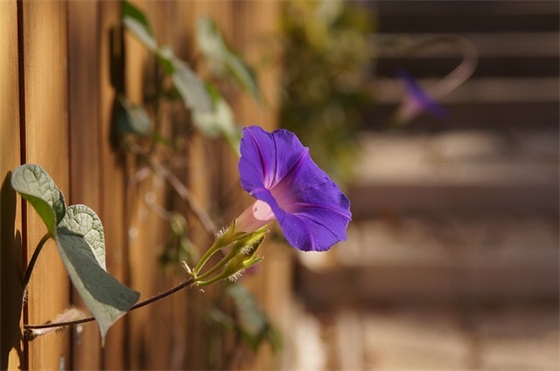 qq名字大全女孩可爱71句 qq名字大全女孩可爱71句