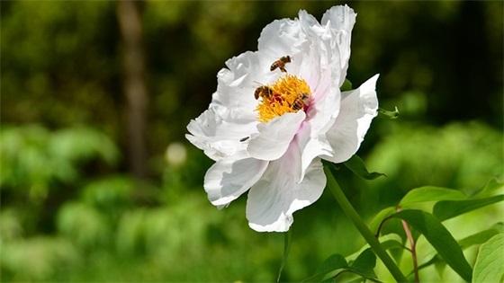 带高的网名大全(精选87个)