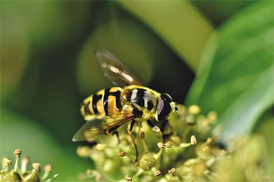 三个字的公司名称大气316个，3个字的公司名称优雅