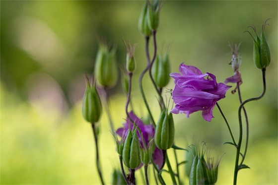 带符号的两字网名(精选93个)