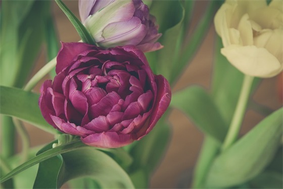 2026最新男微信网名(精选87个)