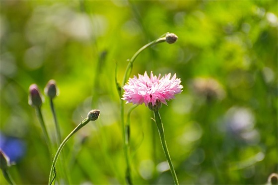 班级比赛口号霸气押韵85句
