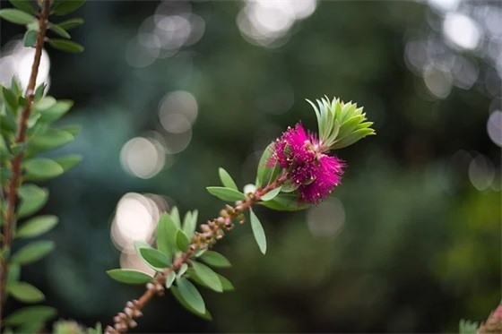 公司运动会口号押韵有气势