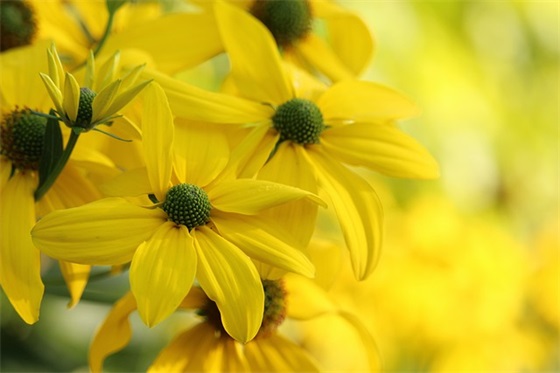 礼仪宣传口号83句 礼仪宣传口号83句