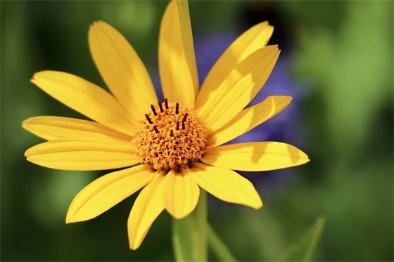 坚决制止餐饮浪费行为宣传标语