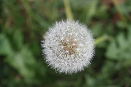 建筑企业文化理念口号86句 建筑企业文化理念口号86句