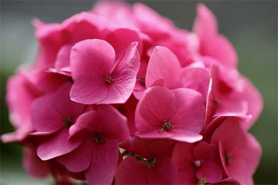 宿舍安全知识温馨标语70句 宿舍安全知识温馨标语70句