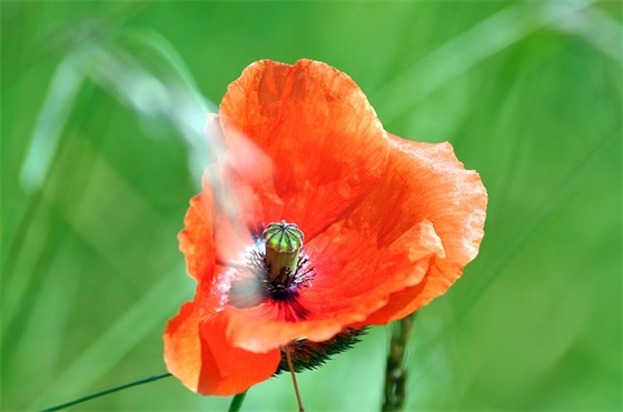 彰显个性的军训口号大全