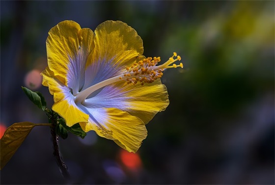 性口号大全84句