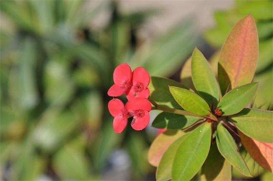 银行宣传标语100句