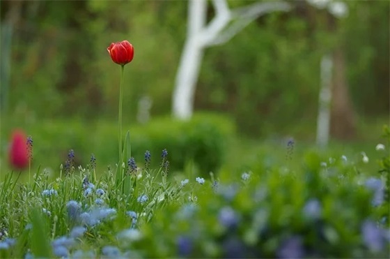 唯美文艺网名男生网名