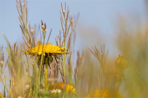 简短英语网名唯美