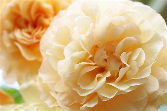 带水唯美网名四个字