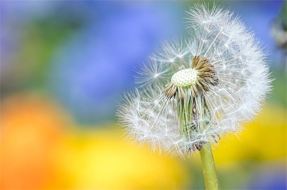 关于19岁的唯美句子精选79条（全网最全）