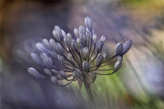 关于读书的好处优美句子简短 读书正能量励志的句子