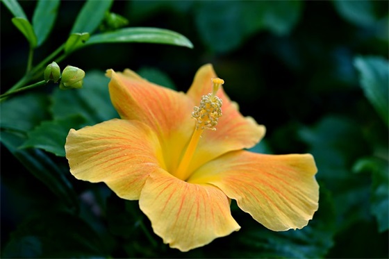 9月份适合发朋友圈的句子有哪些（精选推荐）