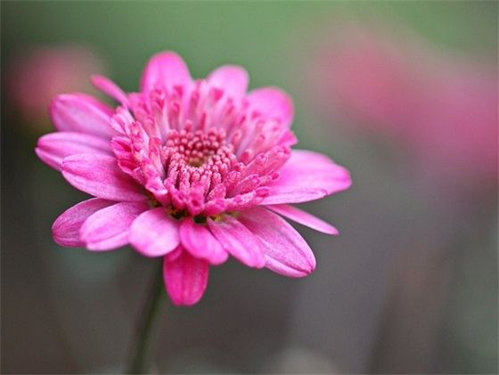 关于表达自己到绝境的句子91句