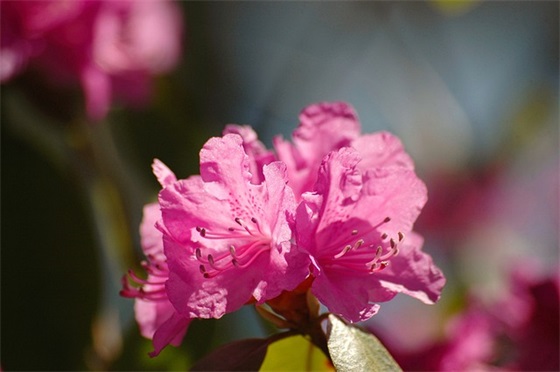 晒娃幽默句子简短 晒娃的句子抖音同款
