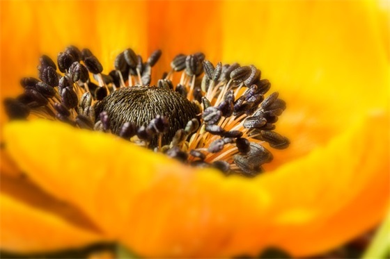 古诗中描写友情的句子