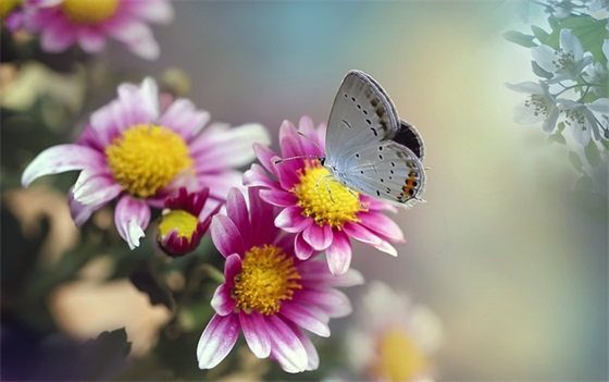 失去亲人撕心裂肺感言 一路走好天堂里的句子