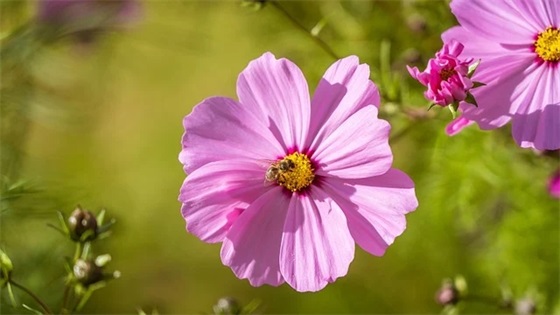 2026年最幽默搞笑句子 搞笑句子能笑死人的