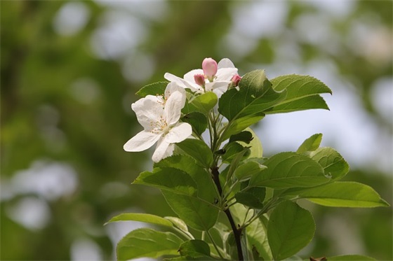 描述淡定的正能量句子