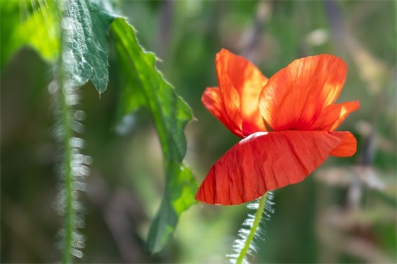 一秒泪崩的句子 彻底绝望伤心的句子