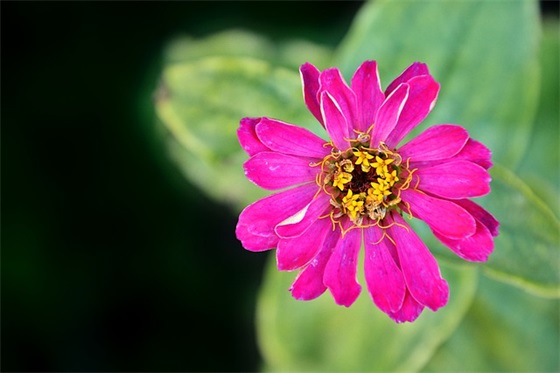 感叹时光回不去的句子