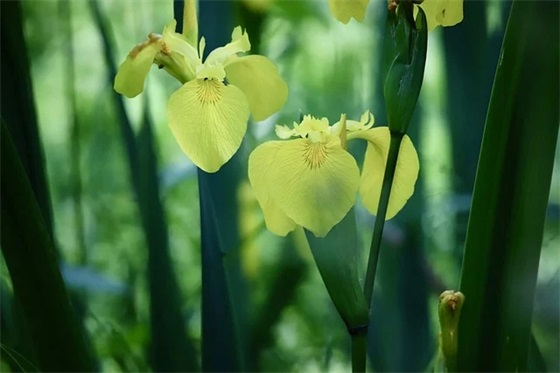积极向上正能量的励志句子 积极向上正能量的励志句子