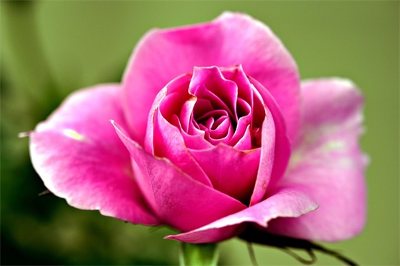 一句话打动人心爱情句子50句 一句话打动人心爱情句子50句