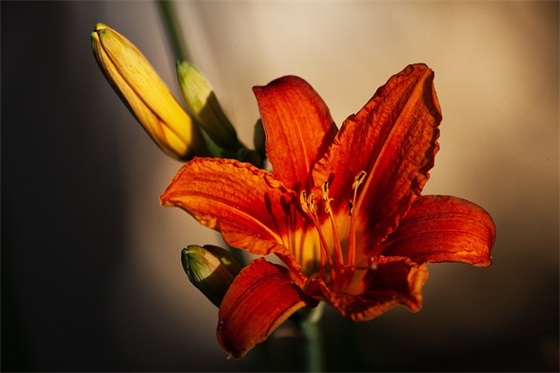 霸气高冷到爆的句子 女生最霸气很拽的句子 霸气高冷到爆的句子 女生最霸气很拽的句子