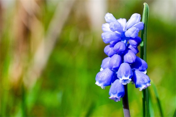 开始接单励志句子