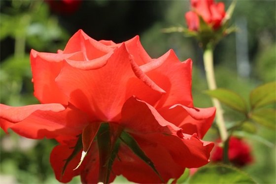 心酸的扎心的句子 特别真实的短句子