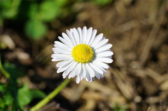 友谊哲理的句子