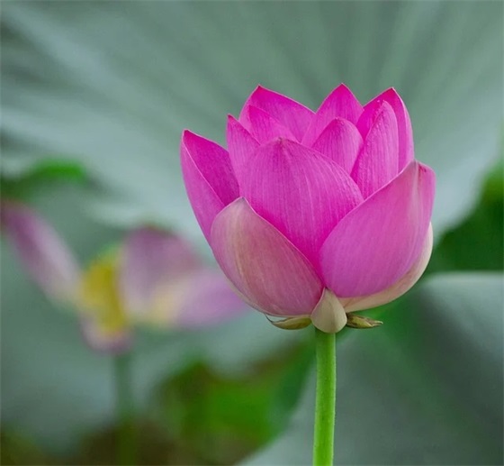 关于彩虹的文艺句子 关于彩虹的句子