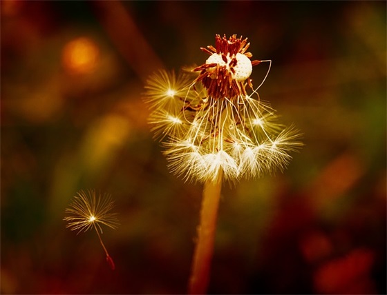 大四学生毕业祝福语 大四毕业祝福语