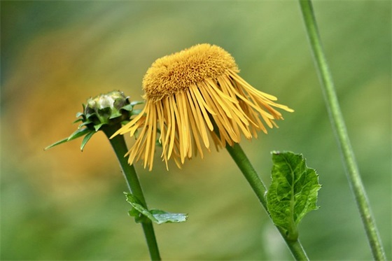 2026年新年祝福语大全