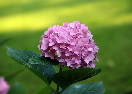 天冷了晚安心语简短一句话 冬天晚安祝福语最温馨的话