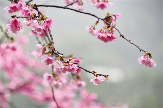 国庆英语祝福语 国庆英语祝福语