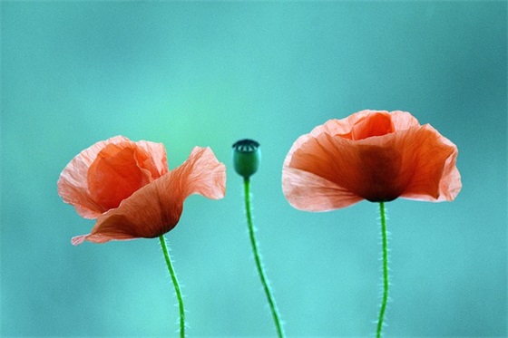 2026年新年祝福励志文案