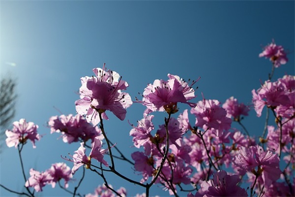 优秀教师语录93句