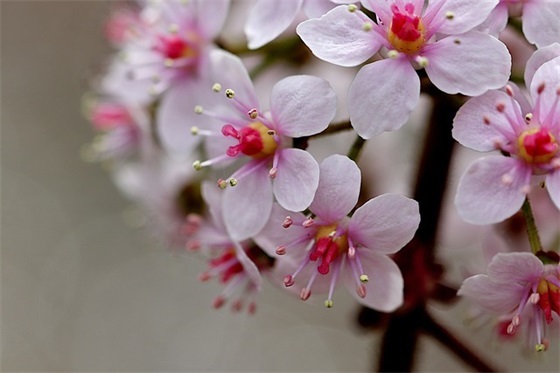 经典的毕业祝福语大全 经典生日祝福语大全 经典的毕业祝福语大全 经典生日祝福语大全